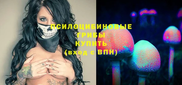 прущие крисы Алексин