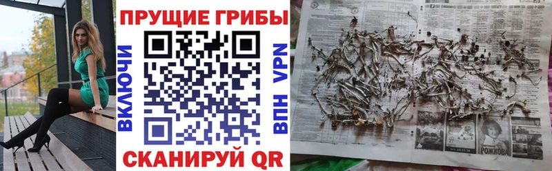 Псилоцибиновые грибы мухоморы Михайловск
